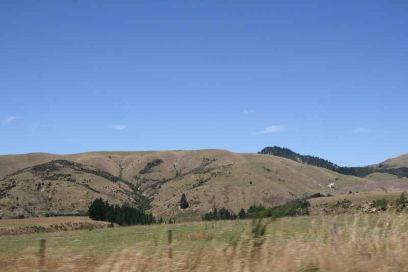 Nieuw-Zeeland 2011 - 1259